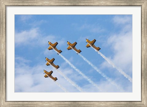 Framed Vintage Airplanes Print