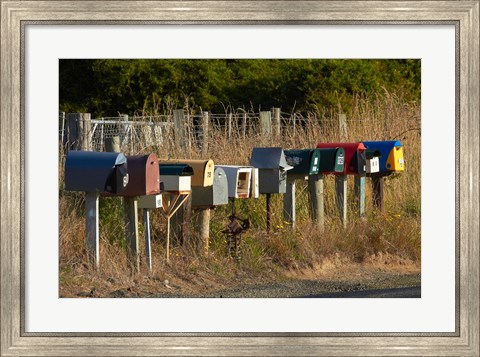 Framed Rural Letterboxes, Otago Peninsula, Dunedin, South Island, New Zealand Print