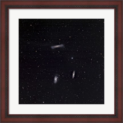 Framed Leo Triplet Print