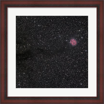 Framed Cocoon Nebula Print