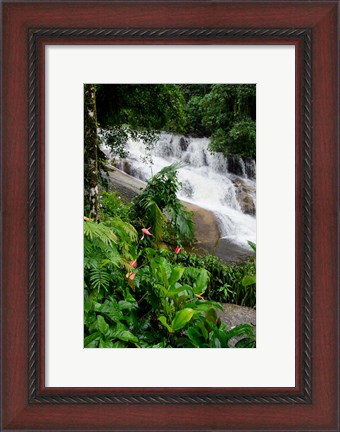 Framed Rainforest waterfall, Serra da Bocaina NP, Parati, Brazil (vertical) Print