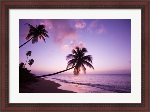 Framed Palm Trees at Sunset, Coconut Grove Beach at Cade&#39;s Bay, Nevis, Caribbean Print