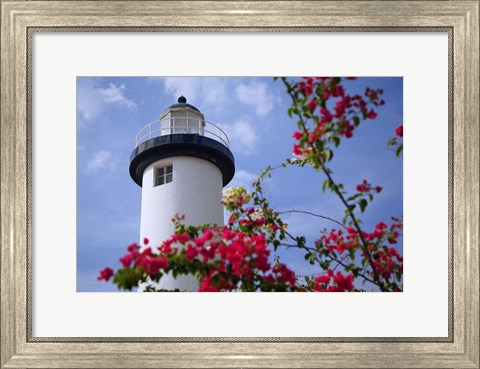 Framed Puerto Rico, Viegues Island, lighthouse of Rincon Print