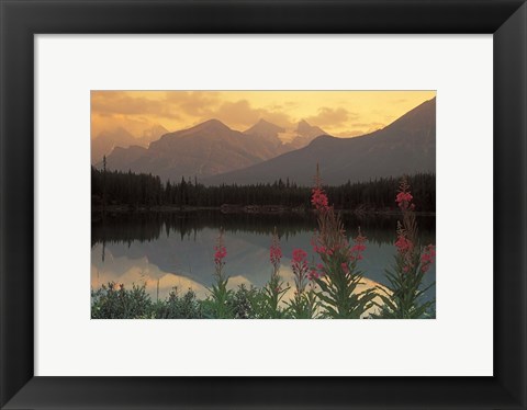 Framed Alberta, Banff, Lake Herbert, Canadian Rockies Print