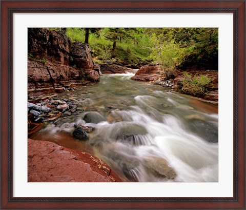 Framed Lost Horse Creek, Wateron Lakes National Park, Alberta, Canada Print