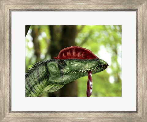 Framed Dilophosaurus wetherilli with a piece of flesh hanging out of its mouth Print