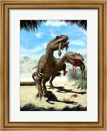 Framed Two Allosaurus with a Hypsilophodon in mouth as next meal Print