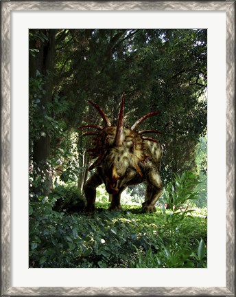 Framed Styracosaurus in a forest Print