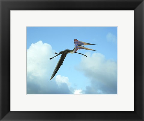 Framed Zhejiangopterus, a genus of azhdarchid pterosaur Print