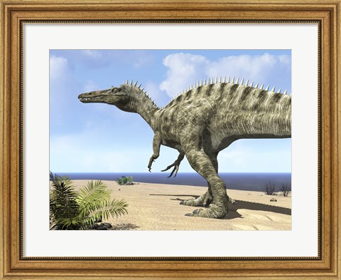 Framed carnivorous Suchomimus wanders a beach on the ancient Tethys Ocean Print