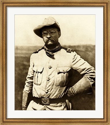 Framed Colonel Theodore Roosevelt Print