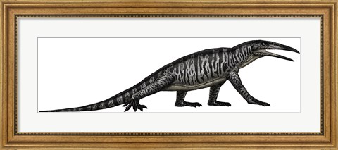 Framed Teraterpeton, an Archosauromorph from the Late Triassic Print