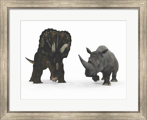 Framed Adult Nedoceratops Compared to a Modern Adult White Rhinoceros Print