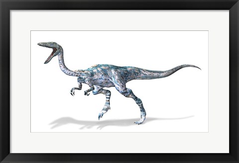 Framed 3D Rendering of a Coelophysis Rinosaur Print