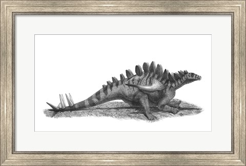 Framed Pencil Drawing of Gigantspinosaurus Sichuanensis Print