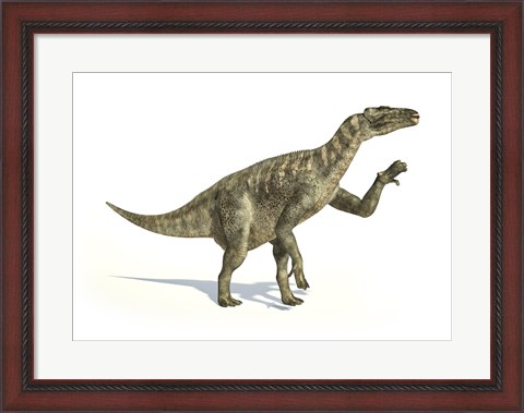 Framed Iguanodon Dinosaur in Dynamic Posture Print