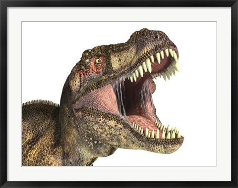 Framed Close-up of Tyrannosaurus Rex dinosaur with Mouth Open Print