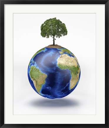 Framed Planet Earth with a Tree Growing on Top Print