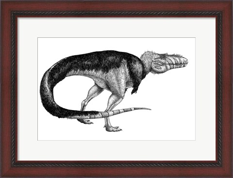 Framed Black Ink Drawing of Alioramus Remotus Print