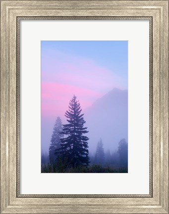 Framed Canada, British Columbia, Mount Robson Park Foggy sunrise Print