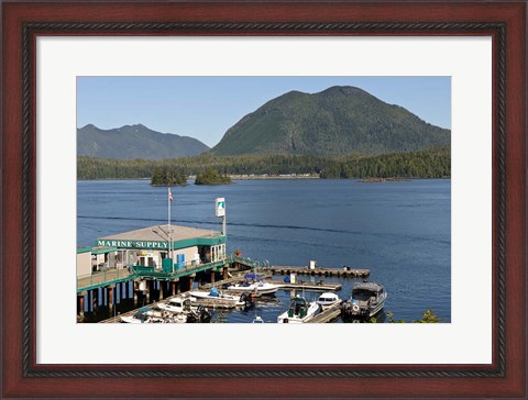 Framed Harbor, Meares Island, Vancouver Island, British Columbia Print