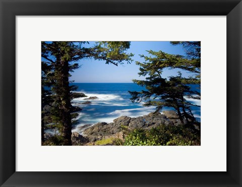 Framed Wild Pacific Trail, Vancouver Island British Columbia Print