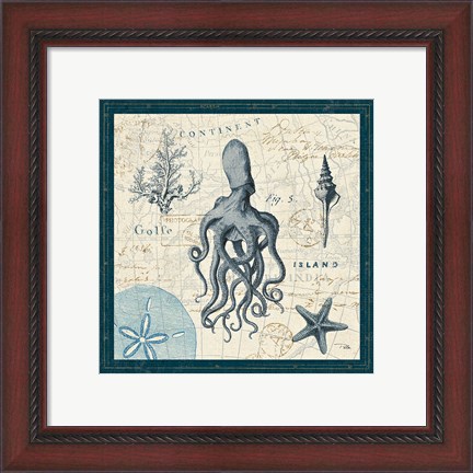 Framed Ocean Life VII Print