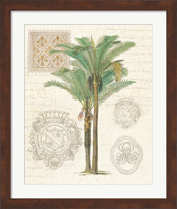 Framed Vintage Palm Study II Print