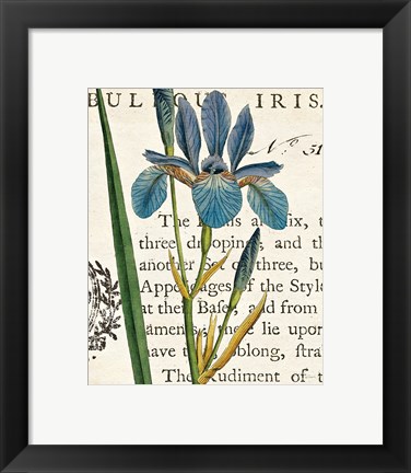 Framed Iris Letter Print