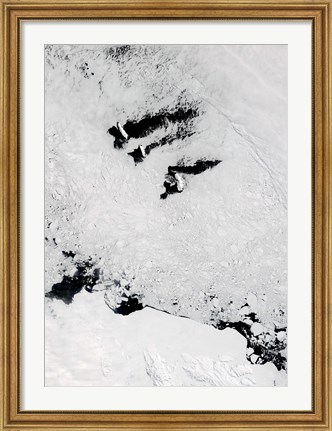 Framed Balleny Islands, near Antarctica Print