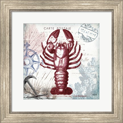 Framed Coastal Sea Life III Print