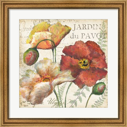 Framed Spice Poppies Histoire Naturelle II Print