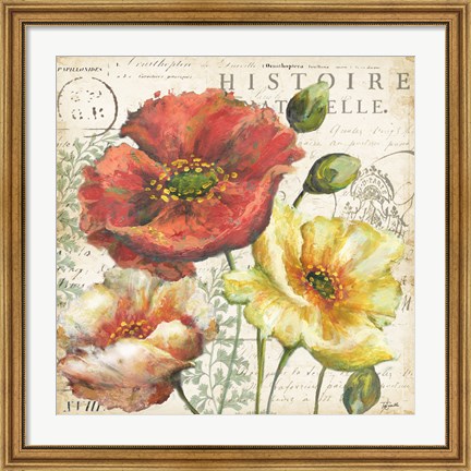 Framed Spice Poppies Histoire Naturelle I Print