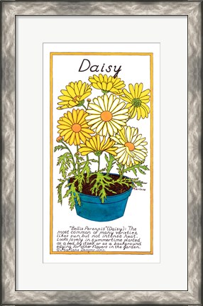 Framed Daisy Print