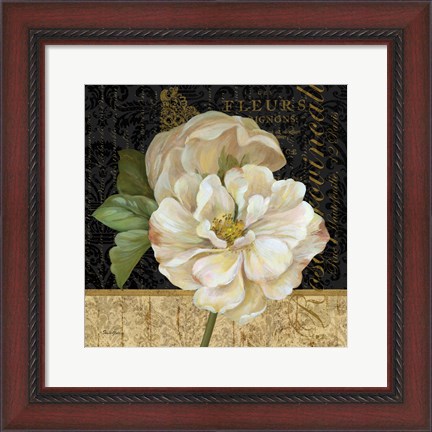 Framed Antique Still Life Rose Print