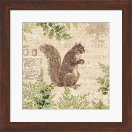 Framed Woodland Trail III (Squirrel) Print