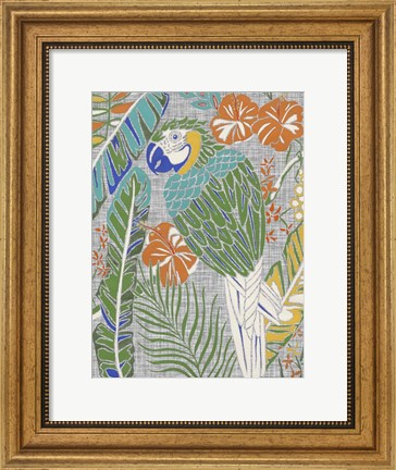 Framed Tropical Macaw Print