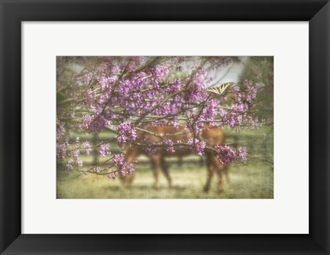 Framed Spring has Sprung Print