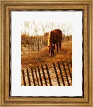 Framed Solitary Light Print