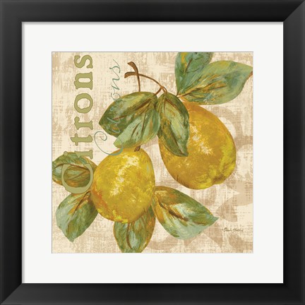 Framed Rustic Fruit III Print