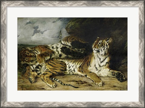 Framed Young Tiger Playing with its Mother, 1830 Print