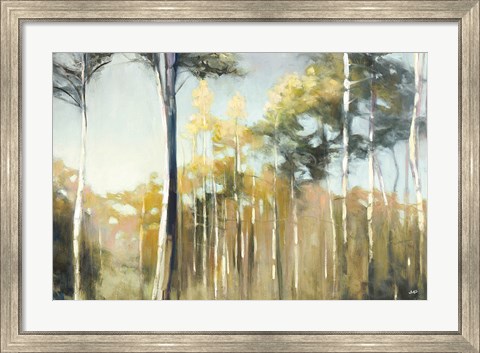 Framed Aspen Reverie Print