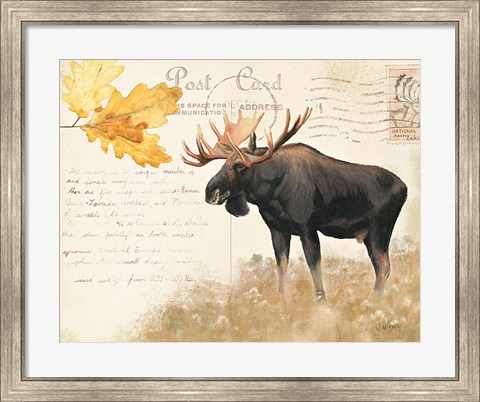 Framed Northern Wild III Print