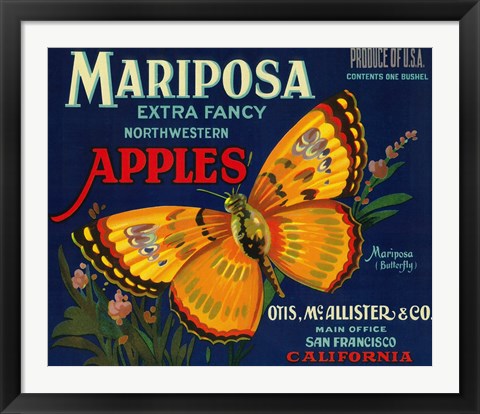 Mariposa Apples Butterfly Ad Art by Lantern Press at FramedArt.com