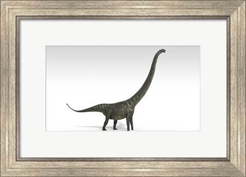 Framed Mamenchisaurus Dinosaur Print