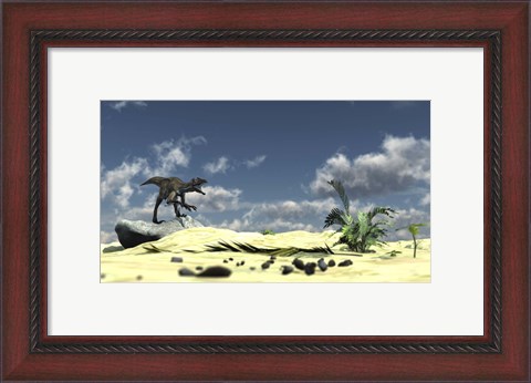 Framed Utahraptor Bellows a Loud Roar Print