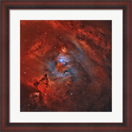 Framed Christmas Tree Nebula Print