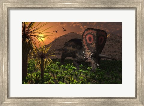 Framed Lone Torosaurus Dinosaur Print