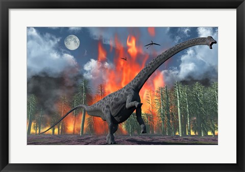 Framed Diplodocus Sauropod Dinosaur Print