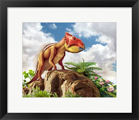 Framed Leptoceratops Print